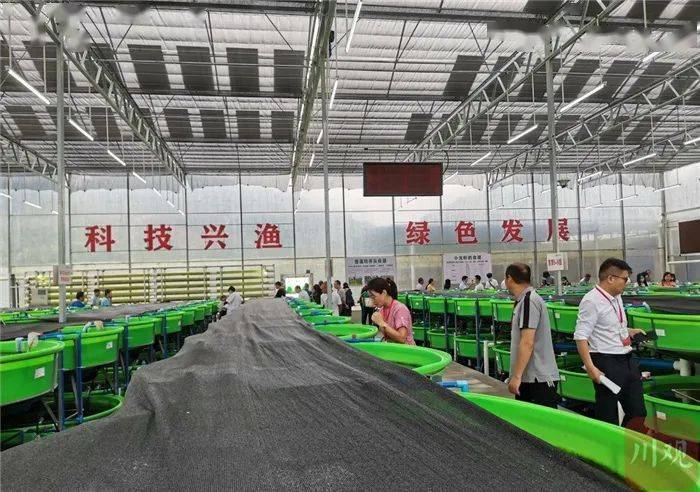 大竹县|川渝合作田间探路：农田里的这些新技术值得关注