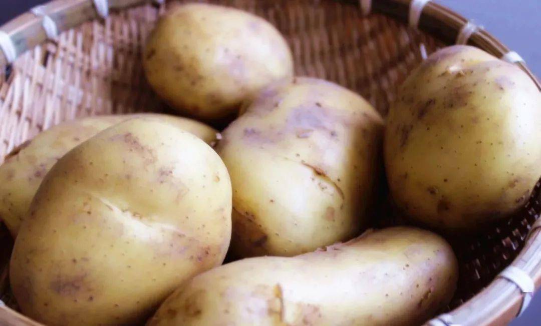 冰箱怎么保存蔬菜不会烂 00464d50c28e42b8a4e381eb3c24c6cc.jpeg