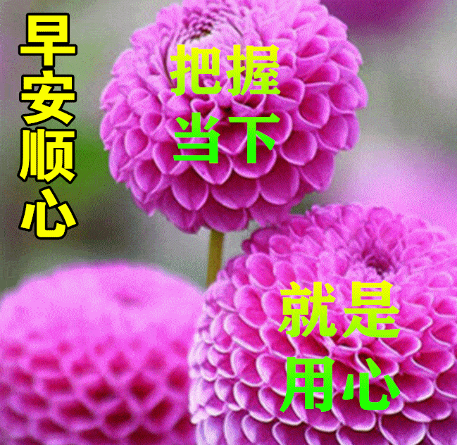 8月28日早上好动态表情图片大全 早晨好动图美图大全 那一段