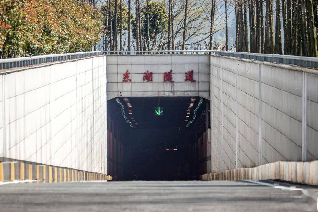 走,去东湖樱园!寻找消防员和"春天的约定"_隧道