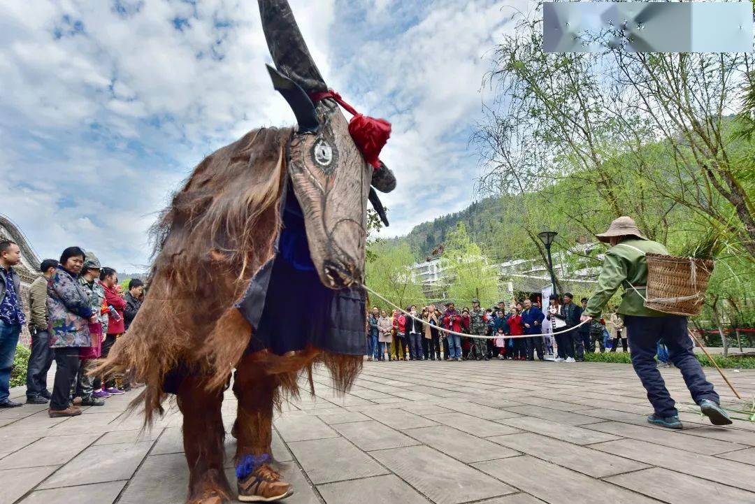 巴渝风丨到牛都体悟三牛精神