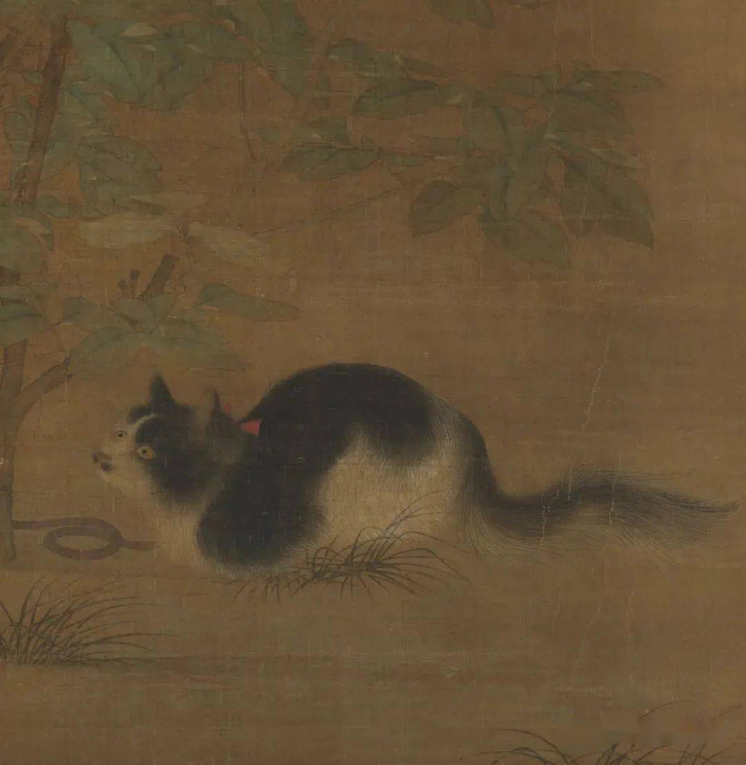 诗画阅微宋代富贵花狸图欣赏