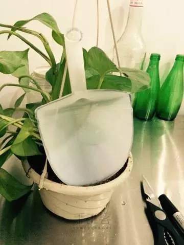 旧物利用塑料瓶子改造成种花的小铲子