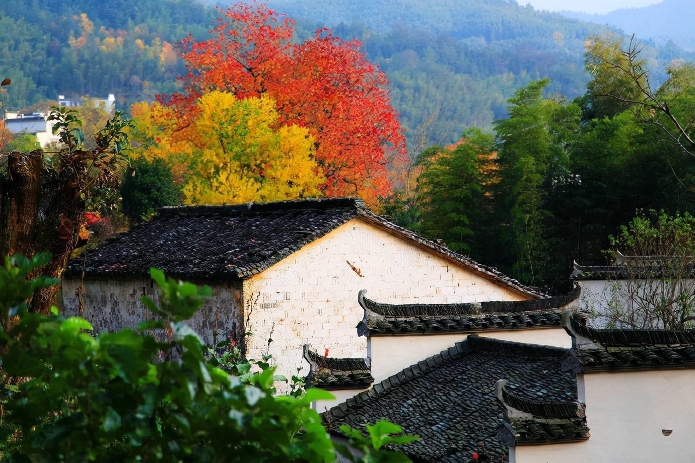 安徽黔县塔川村弥漫着诗意沾染了画意