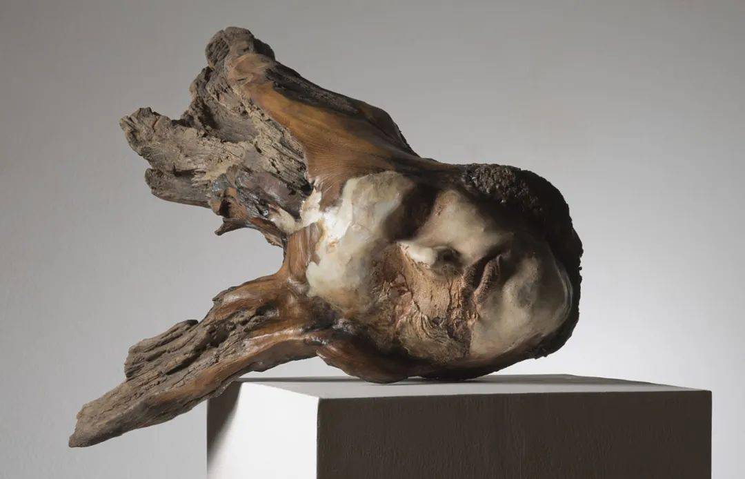 朽木雕刻时间与记忆