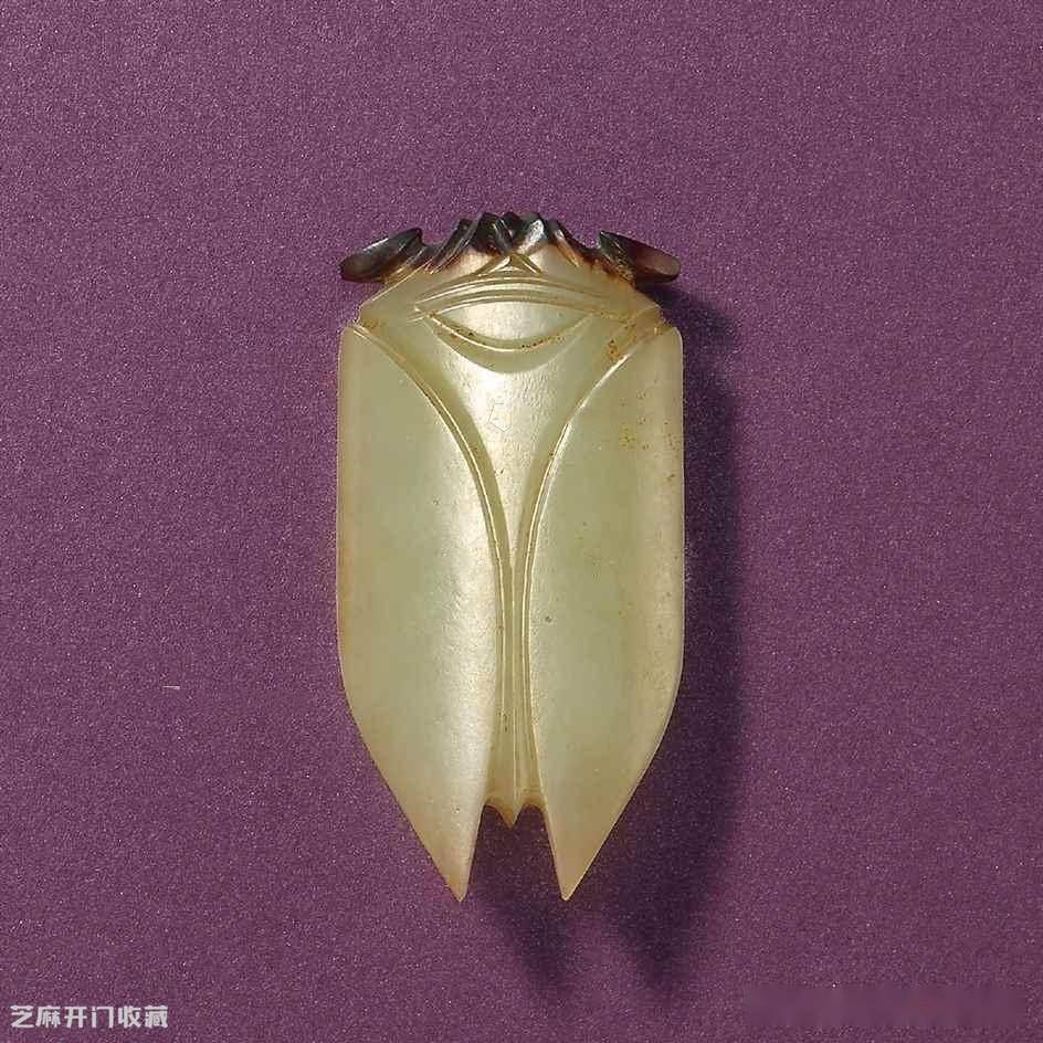 古墓里的玉蝉是什么样子的？_搜狐网