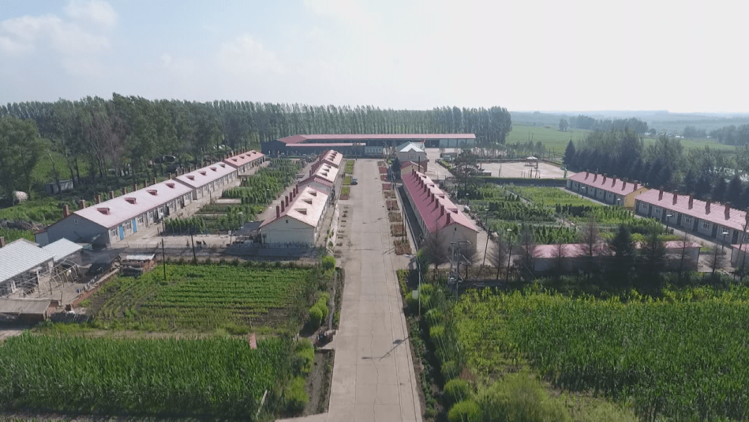 绥棱县克音河乡:内转劳动力产业助增收