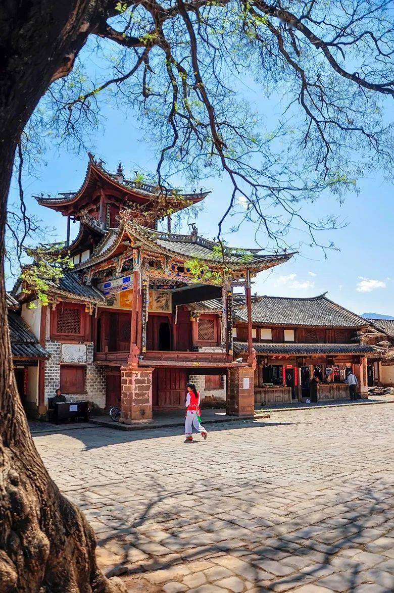 2021乡愁中国·大理论坛|全国知名专家学者纵论乡愁文化(一)