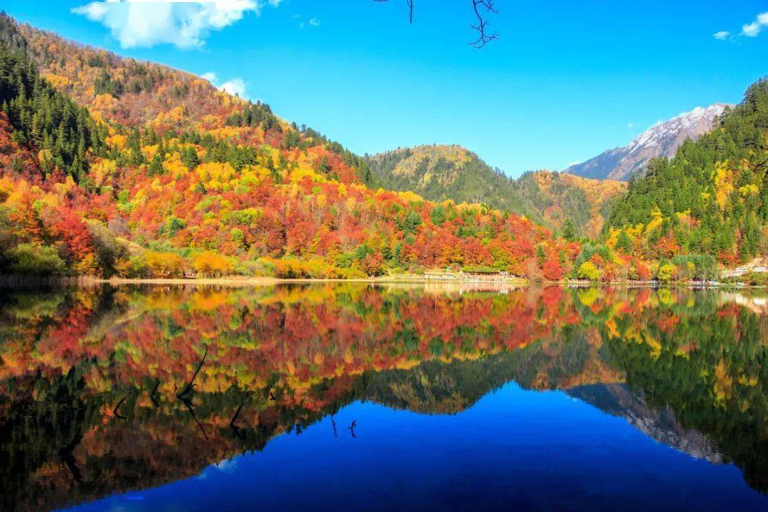 正秋九月五彩斑斓九寨沟61彩林倒映秋意浓3日自驾