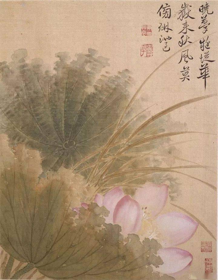 恽寿平最美的没骨花鸟画