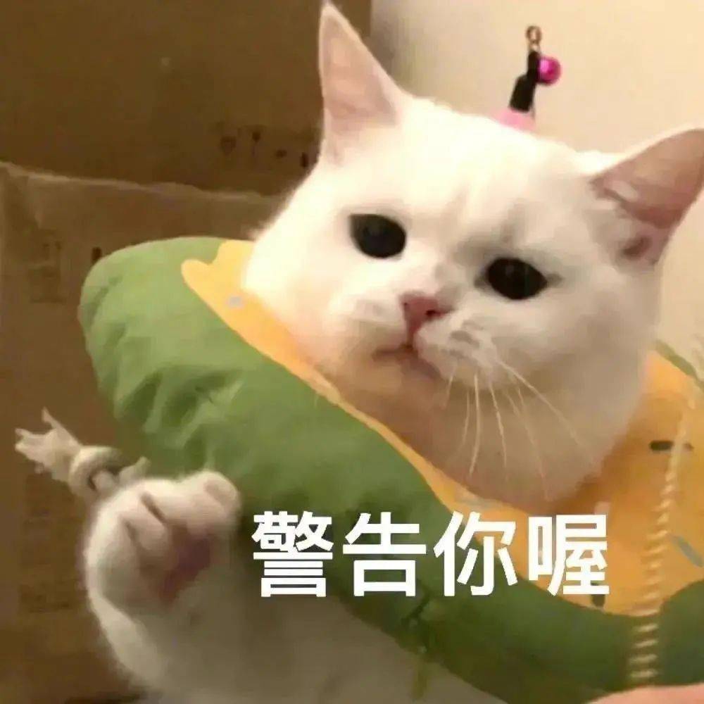 40409d99c4f1404eb8d7169ec938b5d6.jpeg