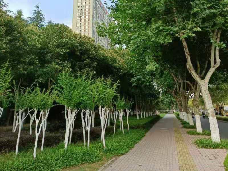 夫妇|一对夫妇的十次重生