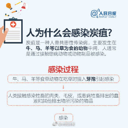 山东省|什么是炭疽（jū）？9图释疑