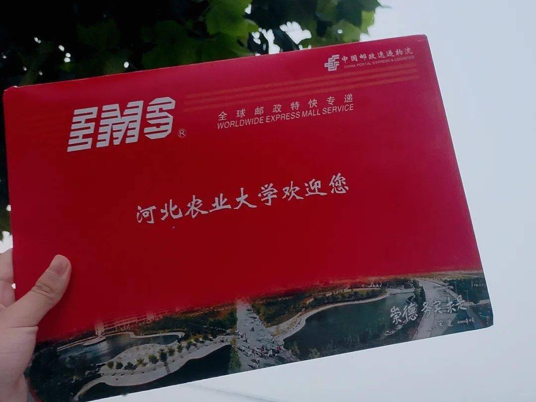 河北农业大学校园网(河北农业大学校园网密码是啥)