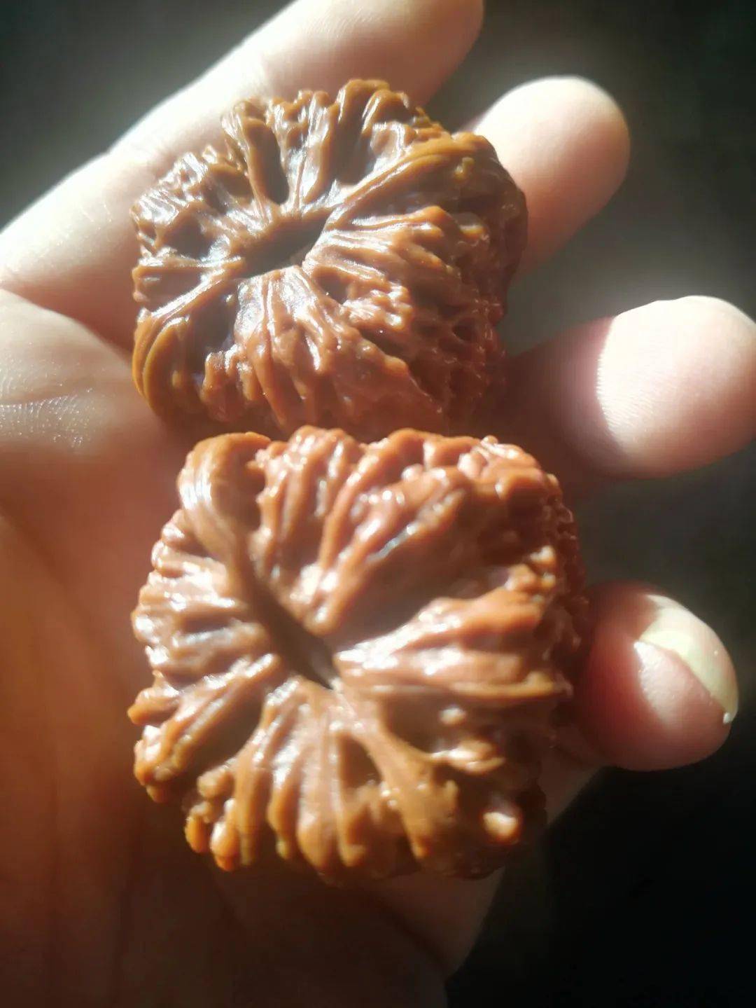 20天,每天盘2小时,这样的将军膀漂亮吗?