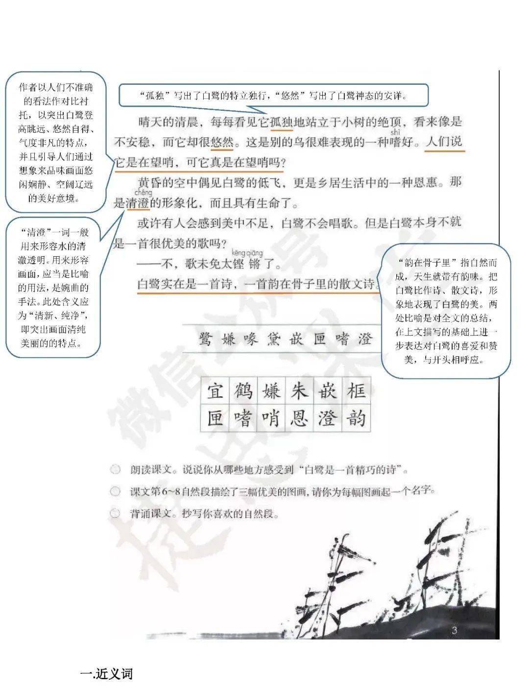 五年级上册第1课白鹭课堂笔记