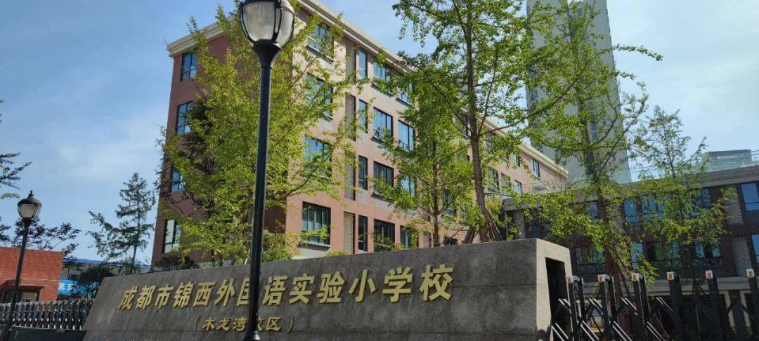 锦西小学图片