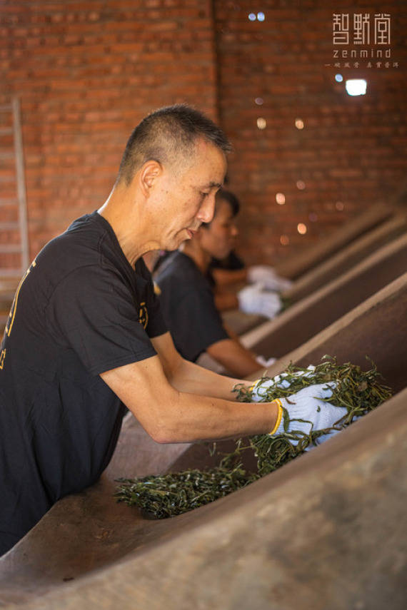 产品|因茶结缘 为茶定居——一位韩国人在云南的普洱茶事业