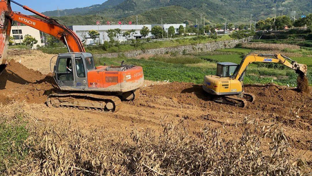 钟山乡全速推进非粮化耕地功能恢复整治全力守好米袋子