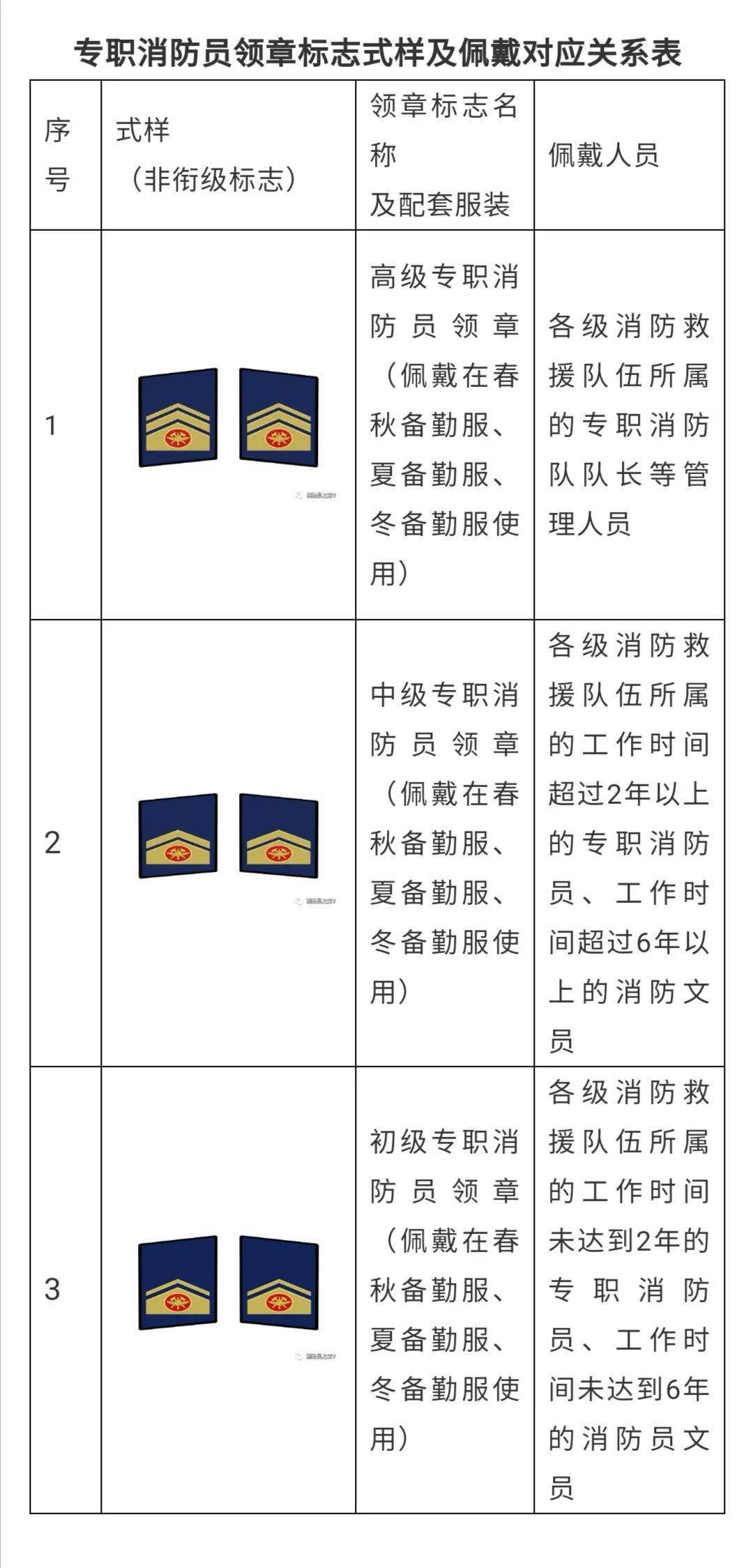 专职消防救援衔图片图片