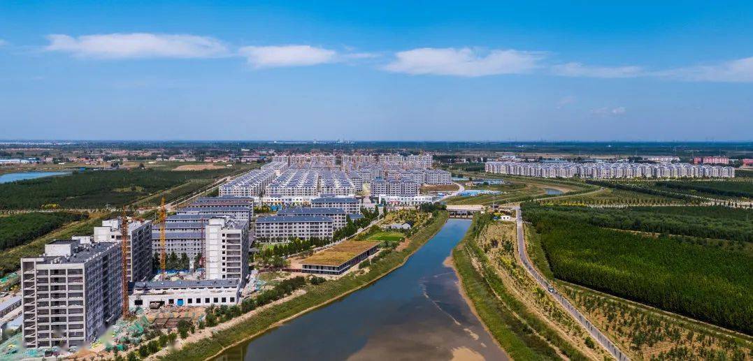 博兴这个乡镇上榜农业产业强镇榜单快看是你家乡吗