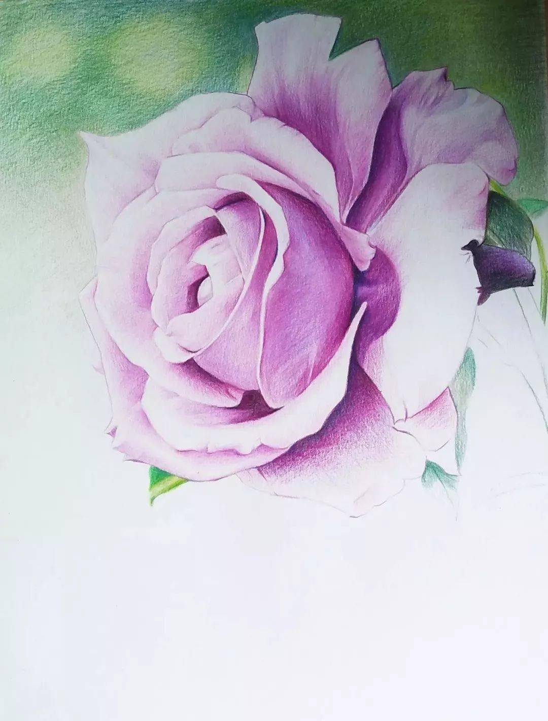 玫瑰花彩铅画步骤图学画彩铅画一朵玫瑰花