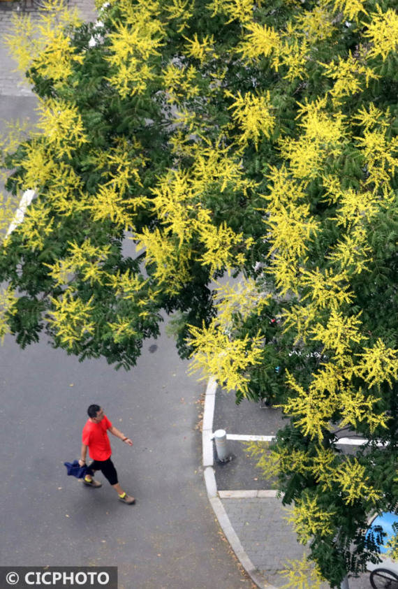 来源|初秋风景美