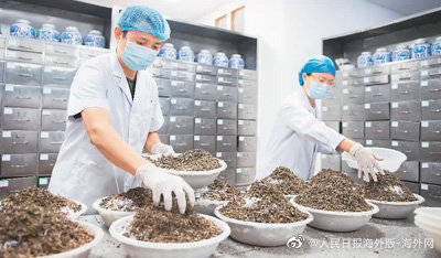 体系|中西医结合 有了新路径