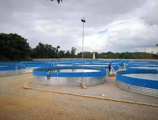 排放|技术流!今年这10项农业重大引领性技术,你知道几个?