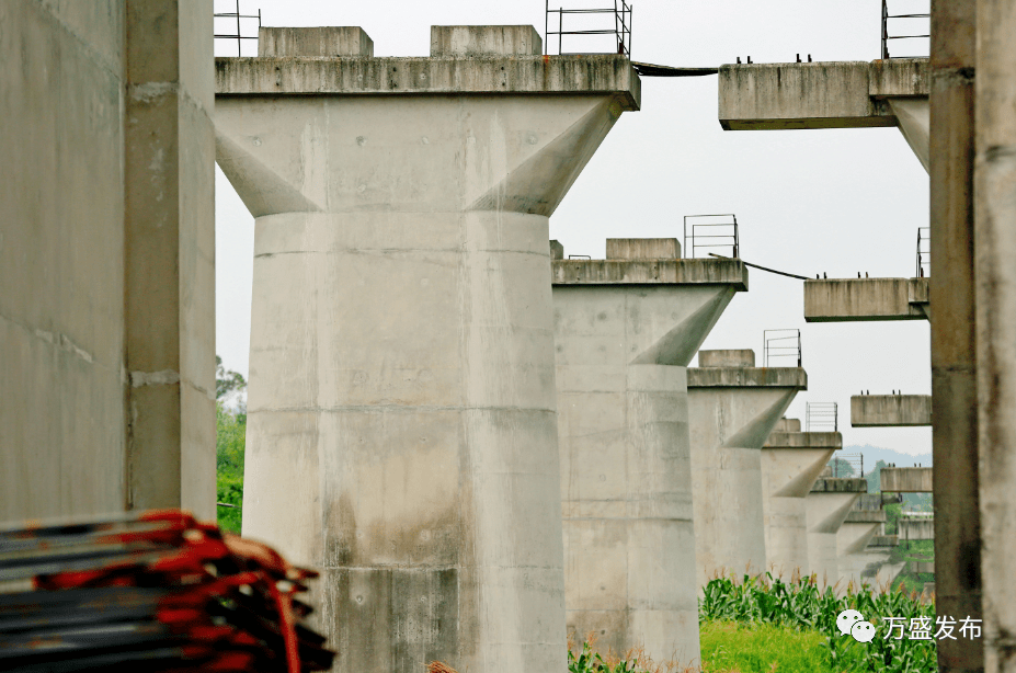 5米桥高19米孔跨布置为8×32米采用单线圆端形实体墩两桥并行但不等高