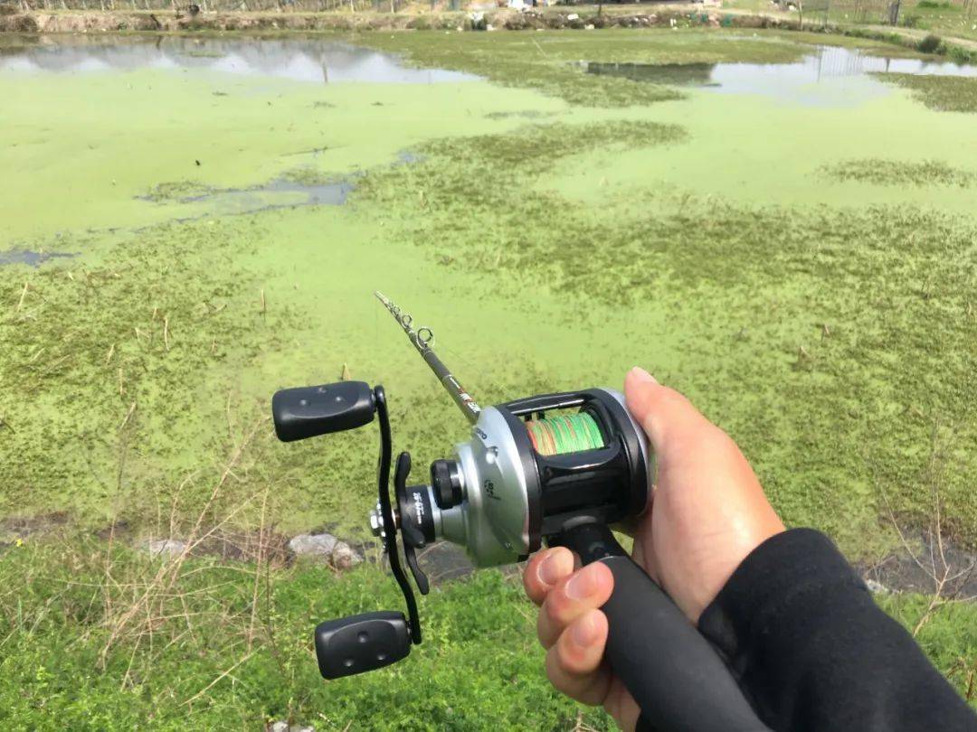 钓黑鱼的黄金季节要到了想玩雷强钓法这一篇文章就够了