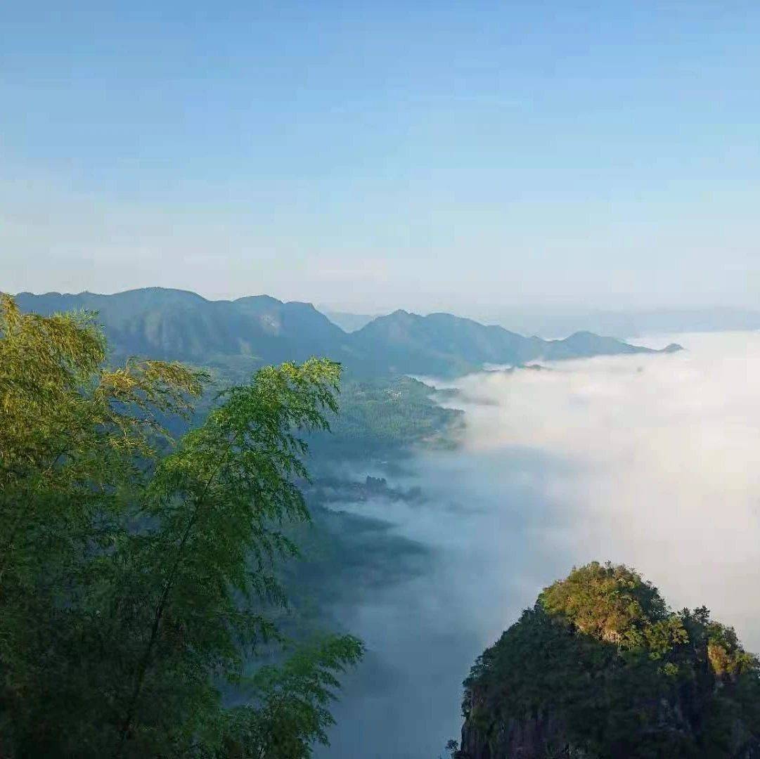 理清写作思维，培养写作习惯 | 亦然花开_思考