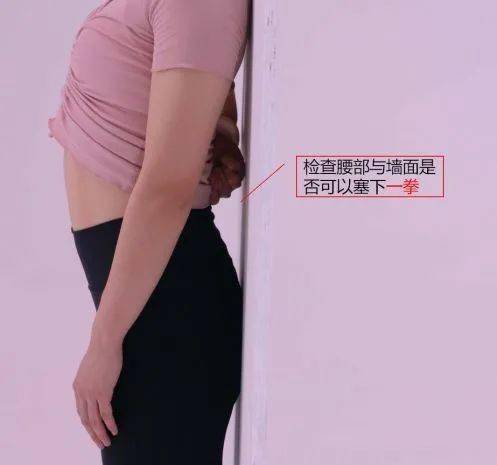 盆骨前倾和后倾到底是什么样子