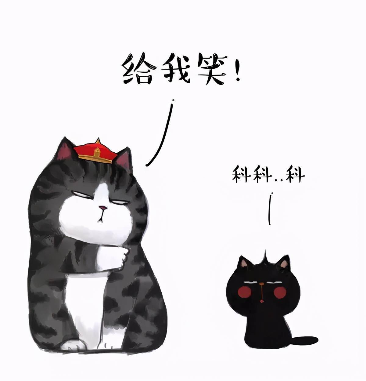 吾皇朕就是这样的猫子漫画