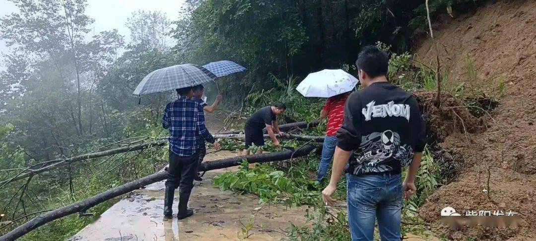 强降雨来袭!安康紫阳县发生多处山体滑坡,多条道路中断