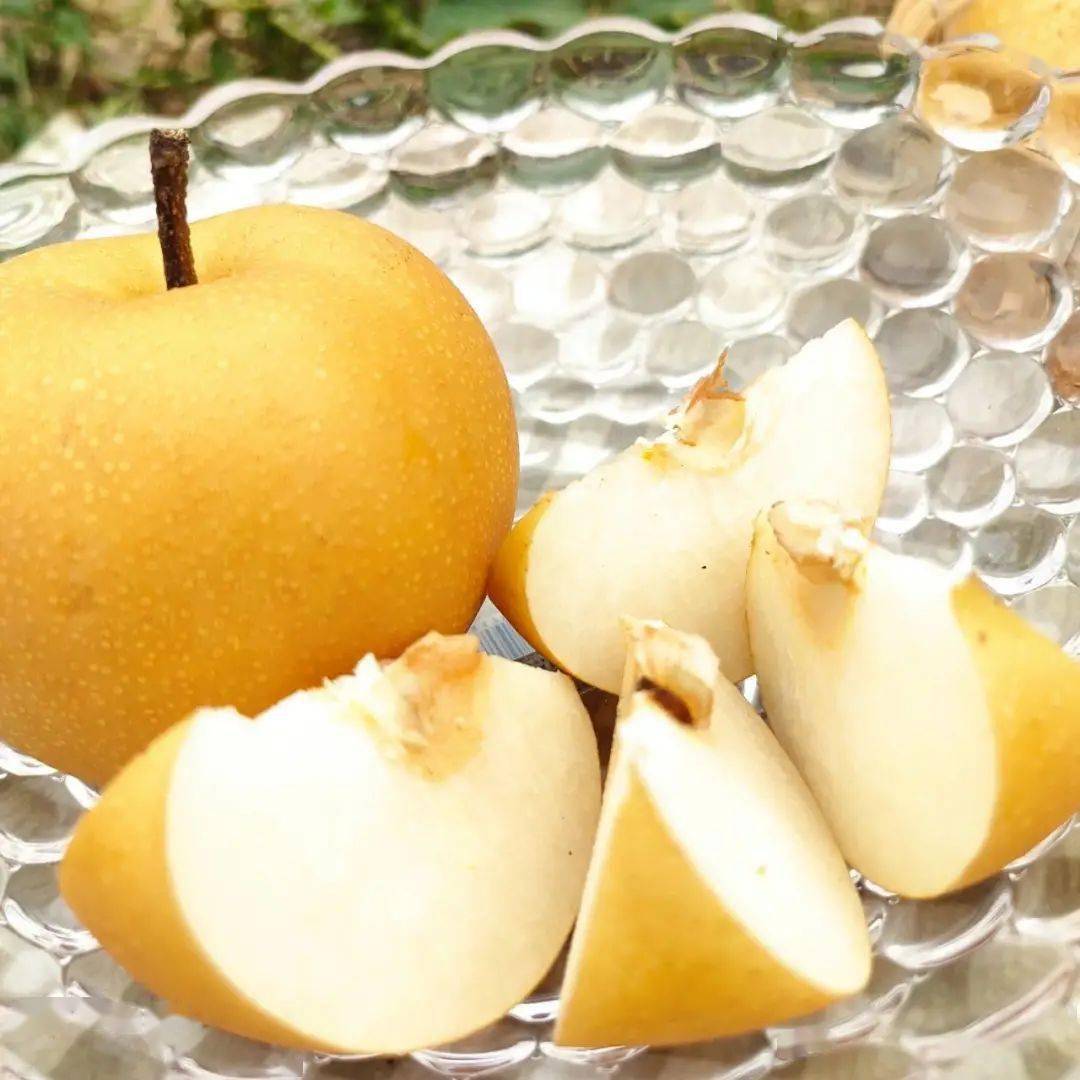 【礼盒·顺丰】"桃梨满天下"9·10教师节!师恩似海深!金黄后黄桃 秋月