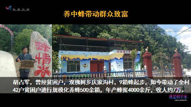 李建科|没有蜜蜂，90%的水果会消失，生态系统将崩溃 | 李建科