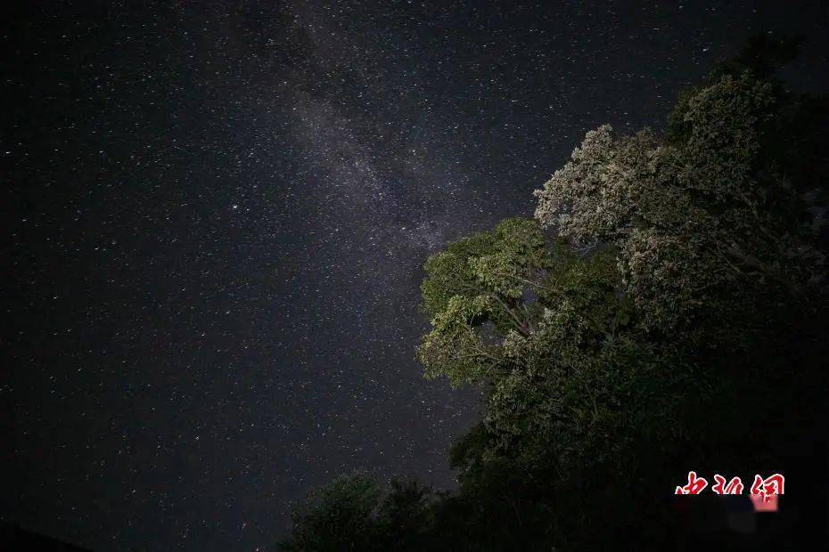 生活|心里的垃圾，不要倒在朋友圈里