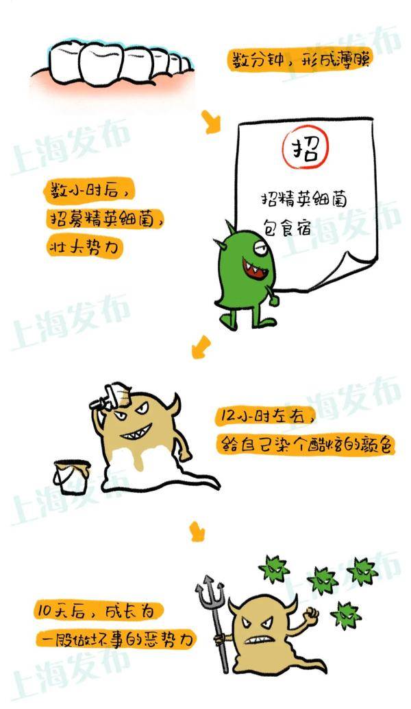 牙齿|刷牙出血？因为口腔太脏！来听牙菌斑的悄悄话~