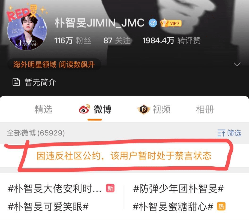 偶像|文化快评|粉丝募集巨资为朴智旻庆生？“饭圈文化”最后的疯狂表演