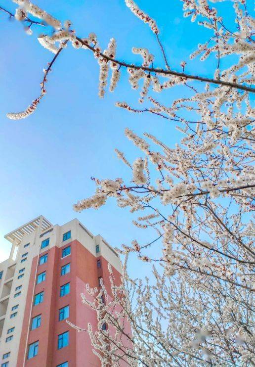 一起云赏河南高校校园风光_大学