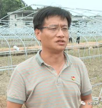 杨桥镇新楼村:聚力产业兴旺 助推乡村振兴