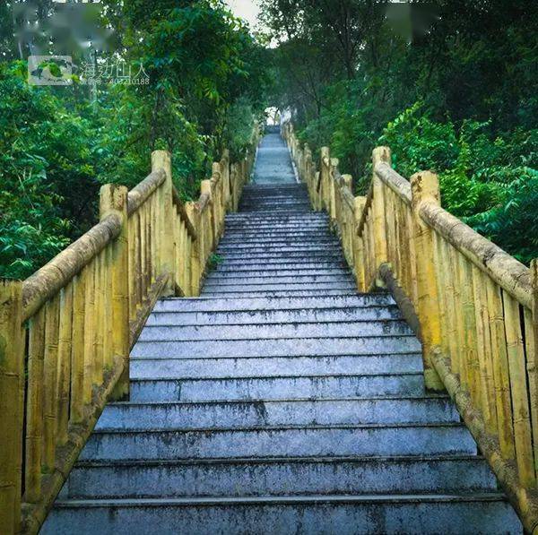 晨钟暮鼓古林寺