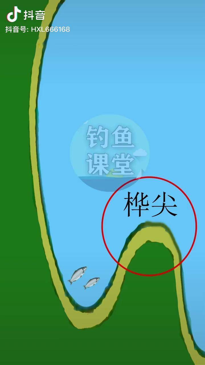 夏季桦尖垂钓钓左不钓右钓鱼野钓钓鱼技巧