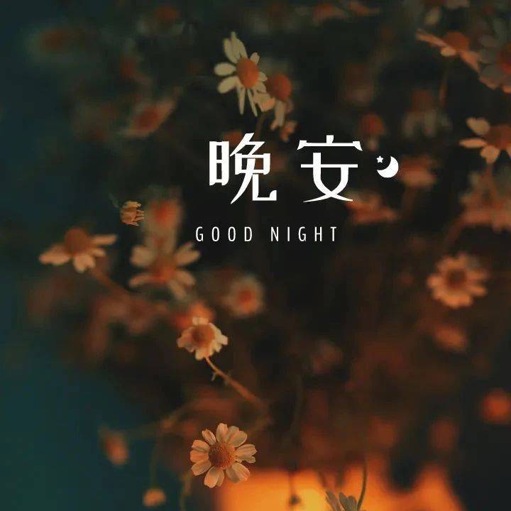 晚安治愈心语文案图片合集_生活