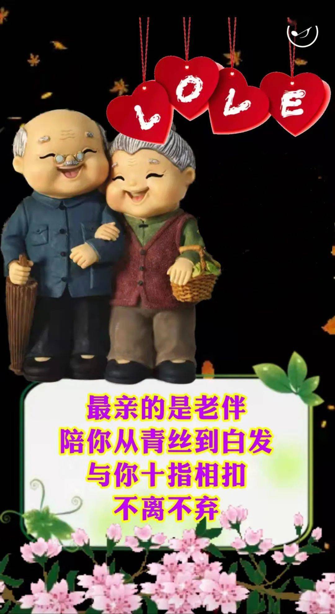 少年夫妻老来伴