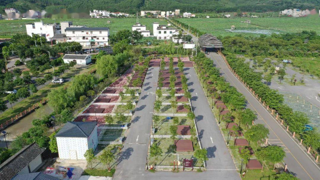 这个秋天送你一份贵港露营攻略吃香喝辣一起睡在森林里