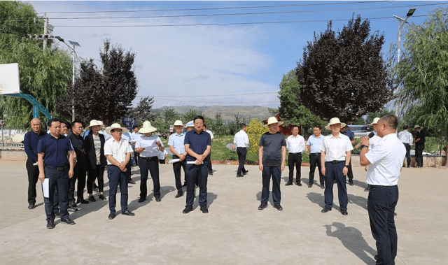 秦州区召开乡村建设行动现场推进会