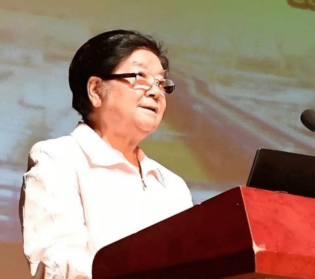 电力局的局长杨欣荣告诉顾秀莲:"电厂小,机组小,装机容量被限制,就算