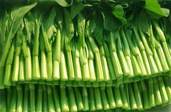 宁夏|宁夏是祖国西部的一块宝地